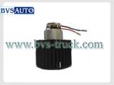 BLOWER MOTOR